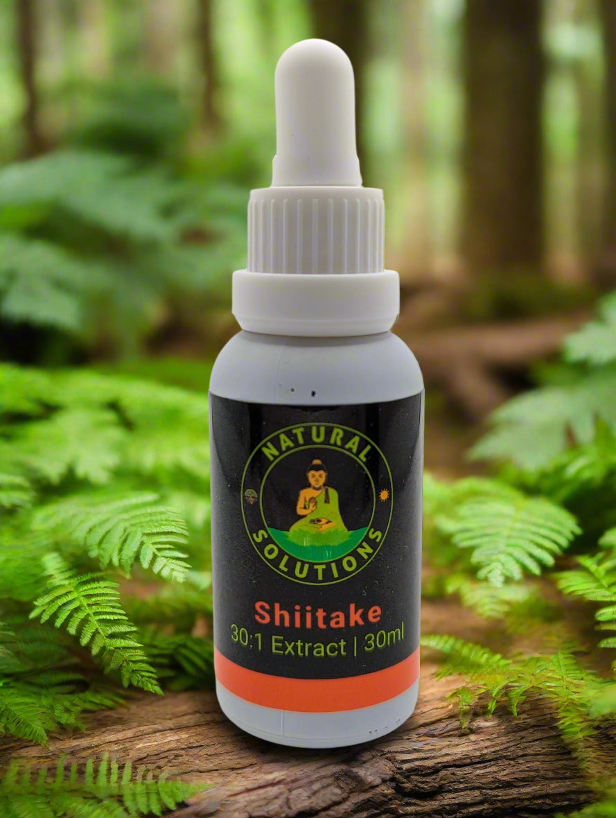 Mushroom Oil Tinctures