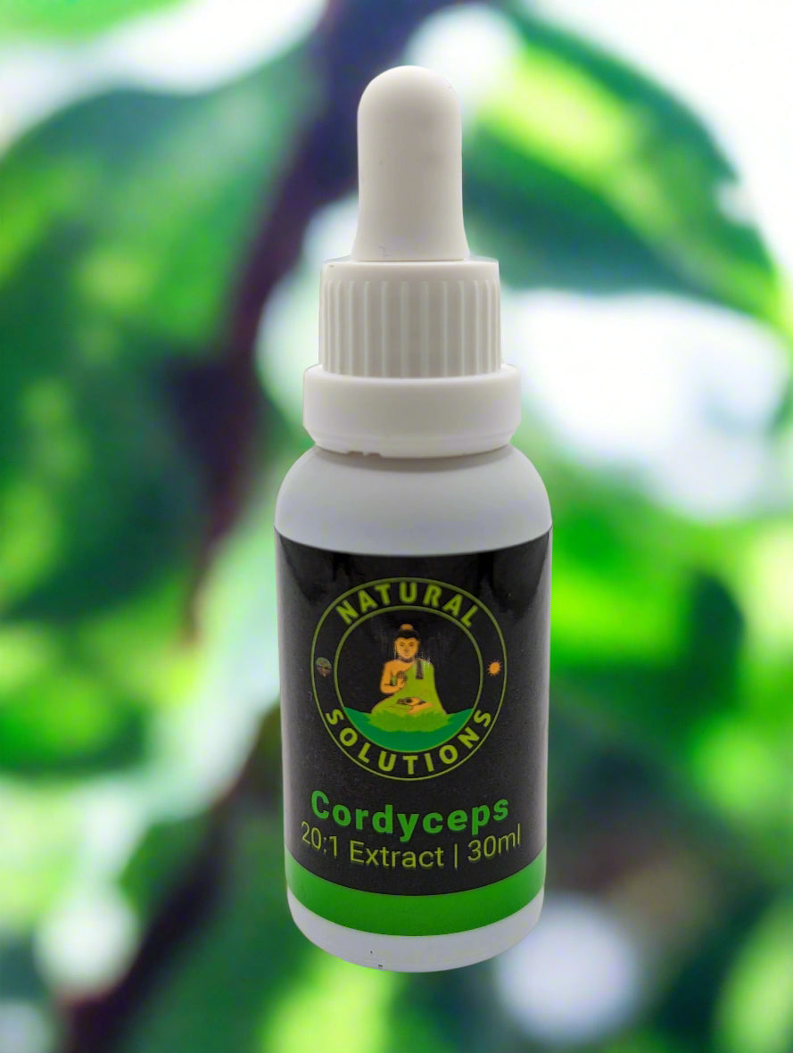 Mushroom Oil Tinctures
