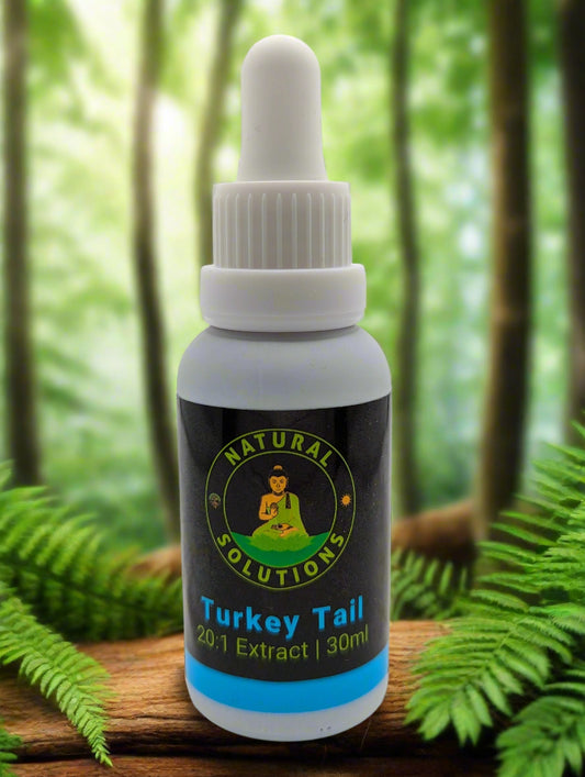 Mushroom Oil Tinctures
