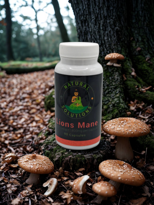 Lions Mane Capsules