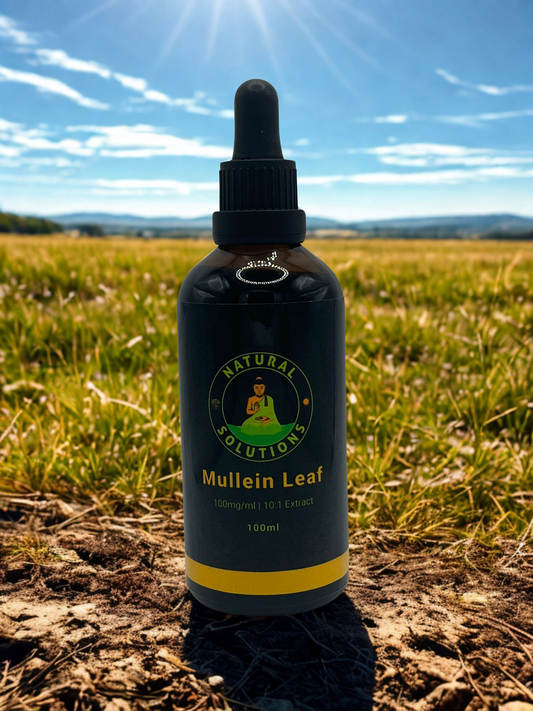 Mullein Leaf