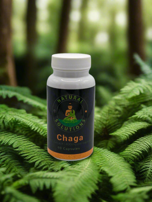 Chaga Mushroom capsules