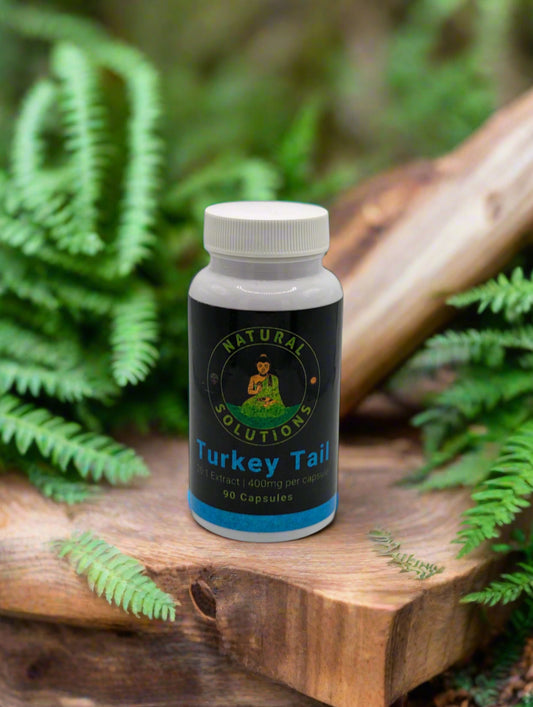 Turkey Tail Mushroom Capsules