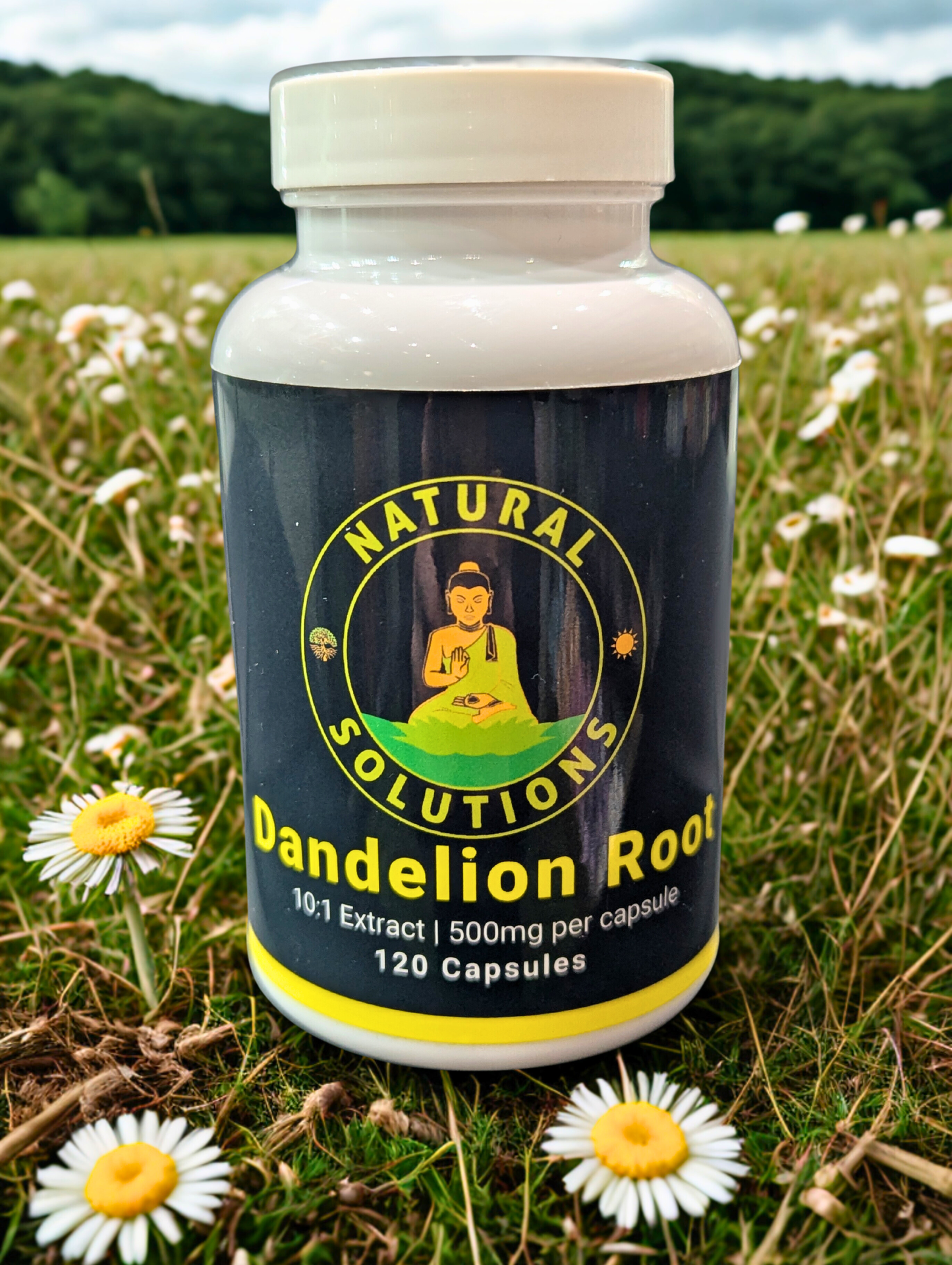 Dandelion Root 500mg Capsules